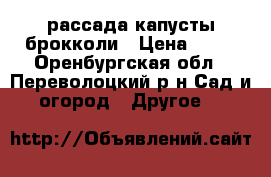 рассада капусты брокколи › Цена ­ 25 - Оренбургская обл., Переволоцкий р-н Сад и огород » Другое   